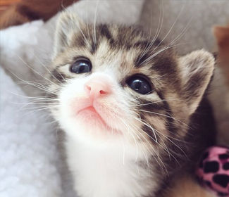 区块链雷声，揭秘技术革新背后的市场波澜