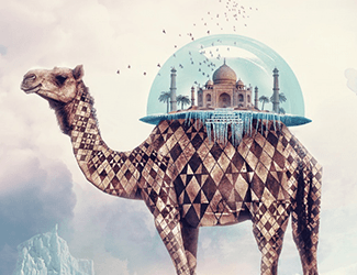 高盛加大布局区块链技术，探索金融创新新路径